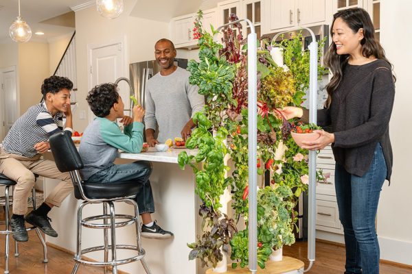 The Best Indoor Smart Gardens for Your Home
