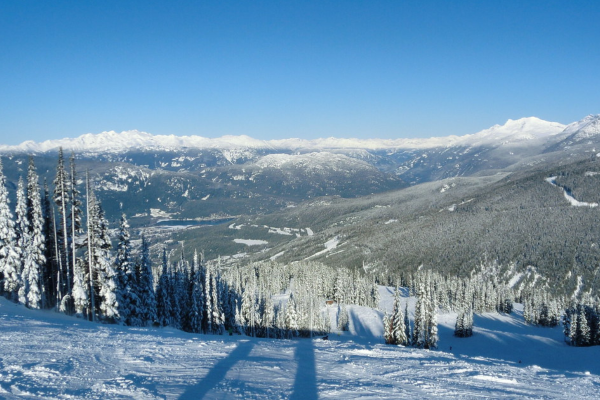 whistler